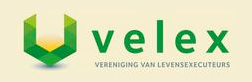 Logo Velex